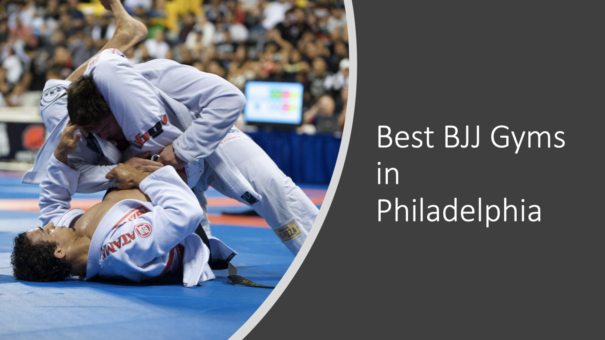 7 Best Brazilian Jiu Jitsu (BJJ) Gyms in Philadelphia